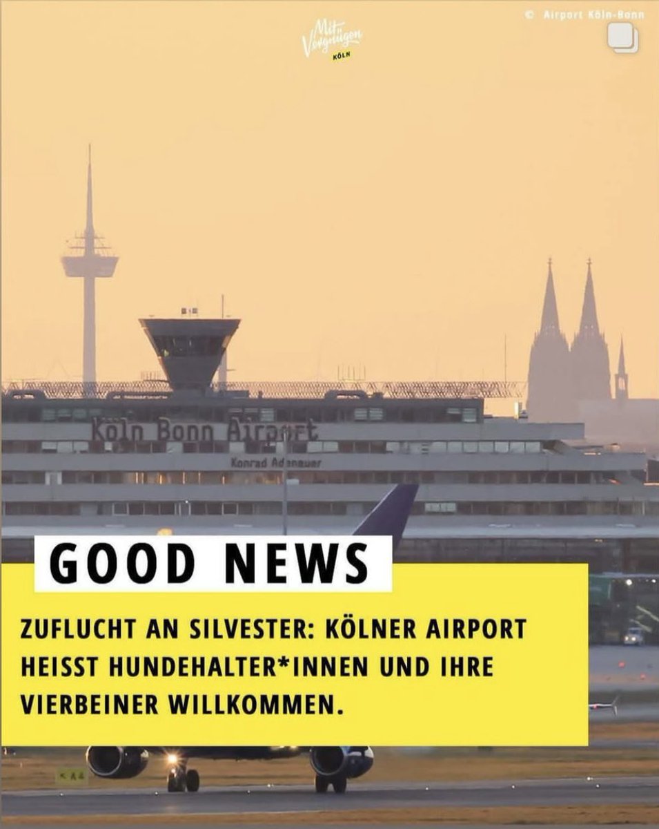 dokhollidays's tweet photo. Das ist so cool!

Hunde vor der depperten Böllerei zu schützen.
Ohne Kosten
Ohne Anmeldung.
Bravo @AirportCGN !

#Boellerverbot 
#Boellerverbot https://t.co/yrzZHct92Z