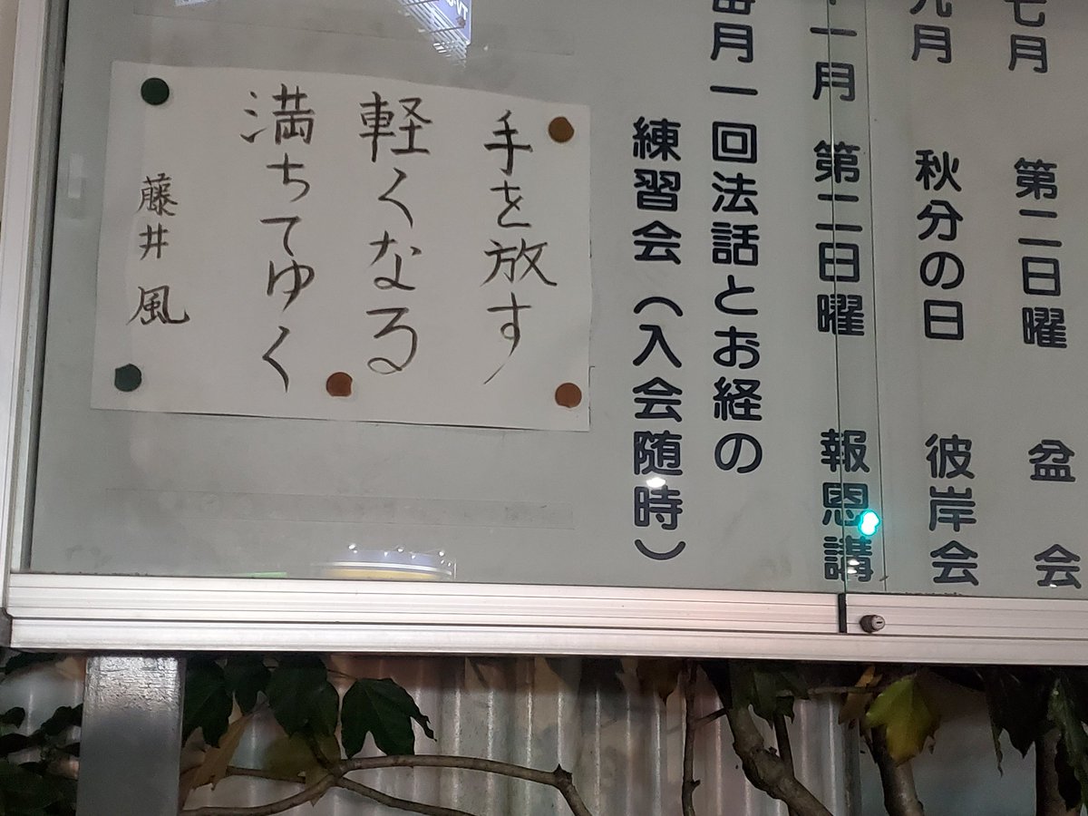maimaikkuma's tweet photo. いつも近所のお寺さんに書いてある藤井風の歌詞 https://t.co/GS1mbTXa5F