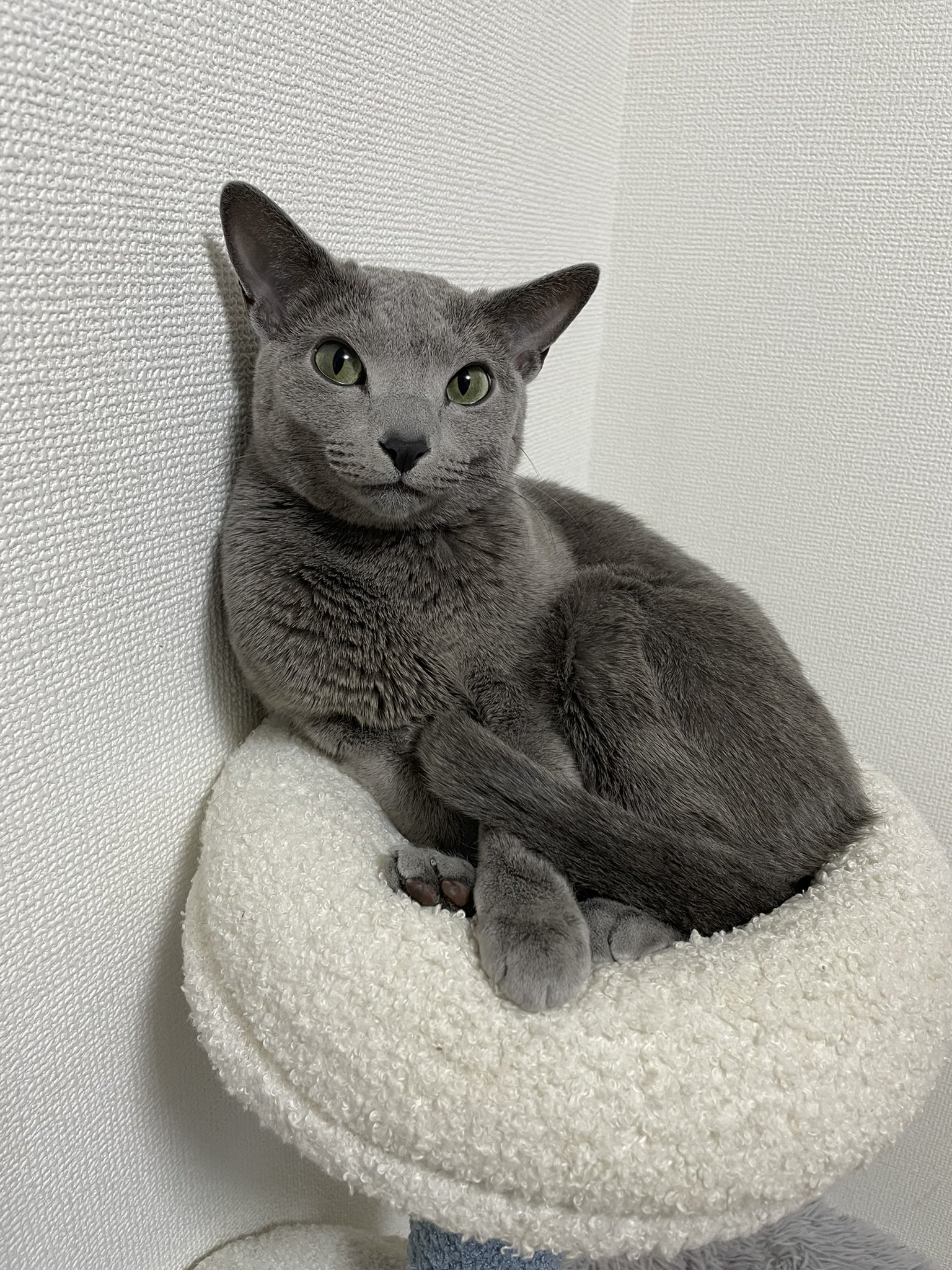 HIRO🐈‍⬛ (@hiro19810120) / X