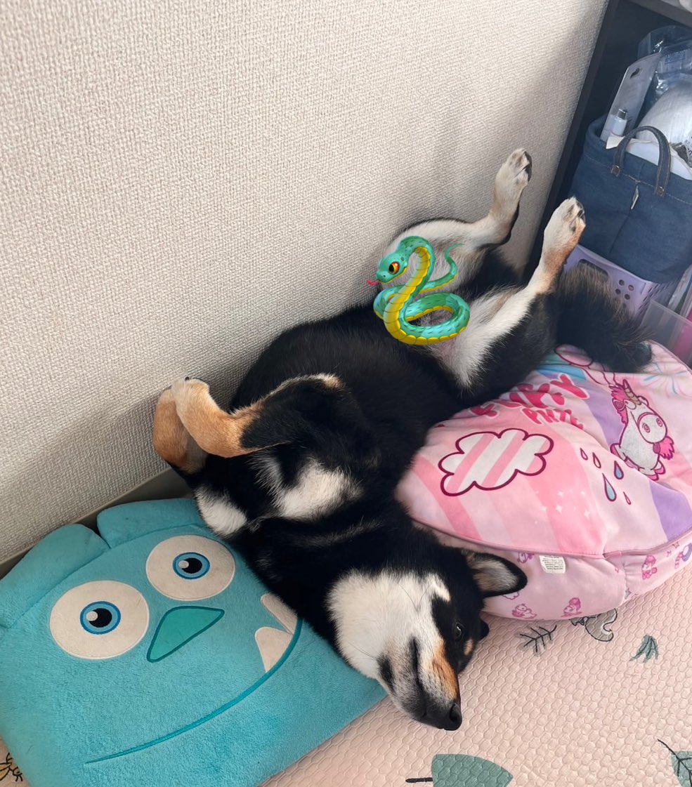 2024年最後は直角カカオで良いお年を。