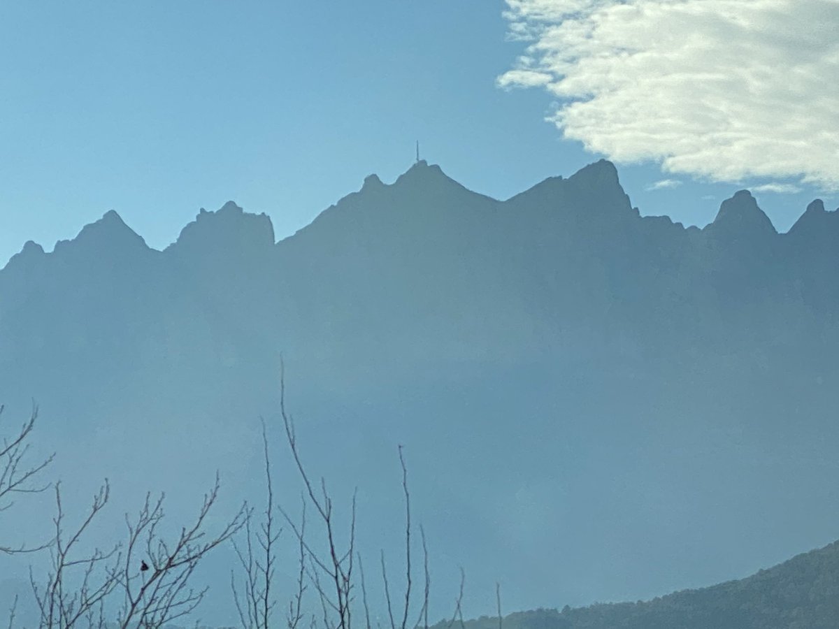 Ana Mitjans (@anamitjans) on Twitter photo 