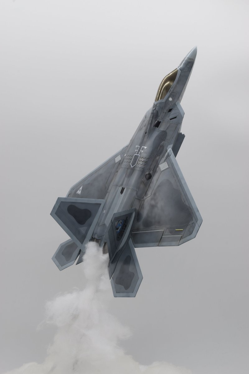 seiyadon02's tweet photo. #今年作った作品晒そうぜ 
#ACECOMBAT
#ACECOMBAT4
#エースコンバット

1/48 F-22 "Möbius1" https://t.co/8H3RF2Qh6I