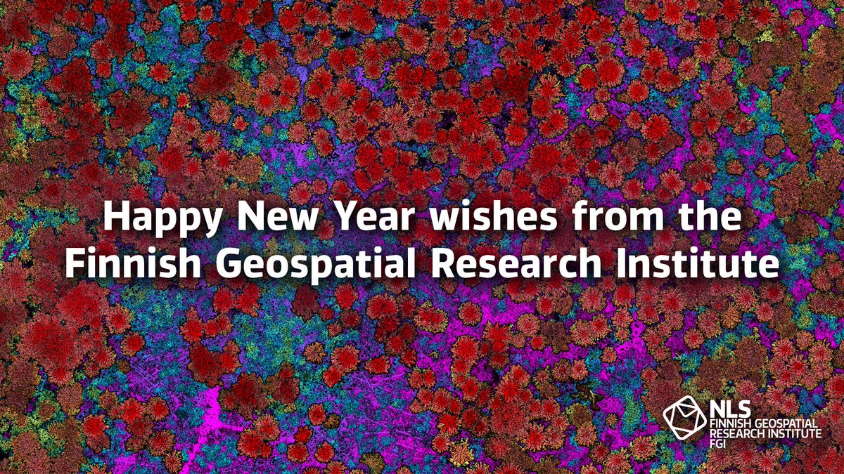 🎉 We wish a Happy New Year 2025 to all our followers, collaborators, and employees!

📸 High-density laser scanning data of forest by Antero Kukko.