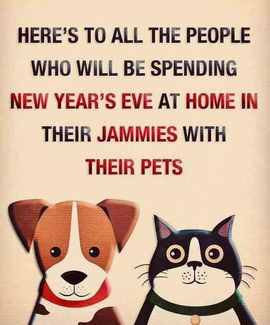 woofknight's tweet image. 