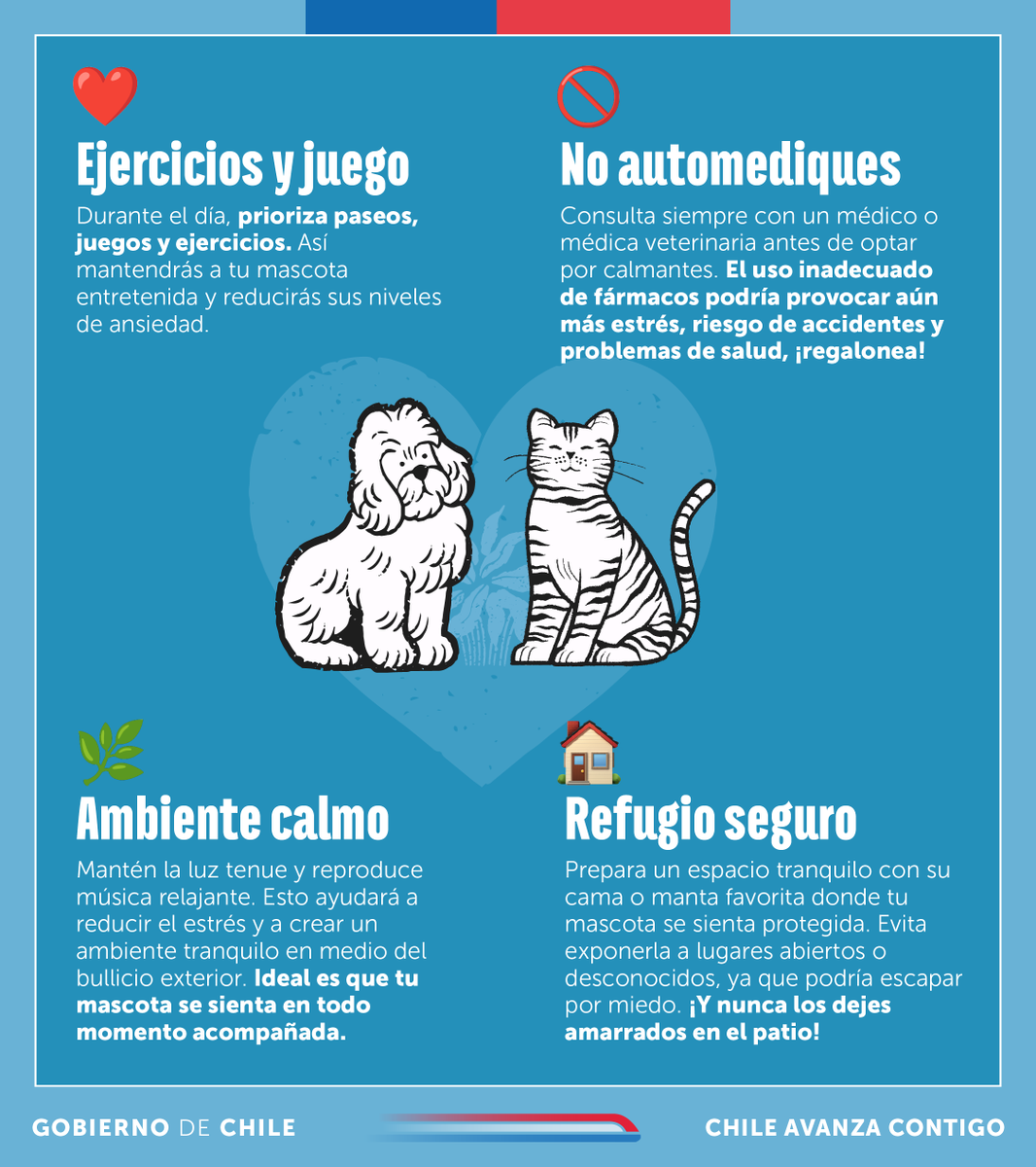🎆 Los fuegos artificiales para nuestras mascotas significan miedo y ansiedad extrema. Muchos pierden el control intentando escapar, poniendo su vida en serio peligro. 
💡 Sigue estas recomendaciones y brinda a tus animales de compañía un Año Nuevo más seguro y tranquilo.