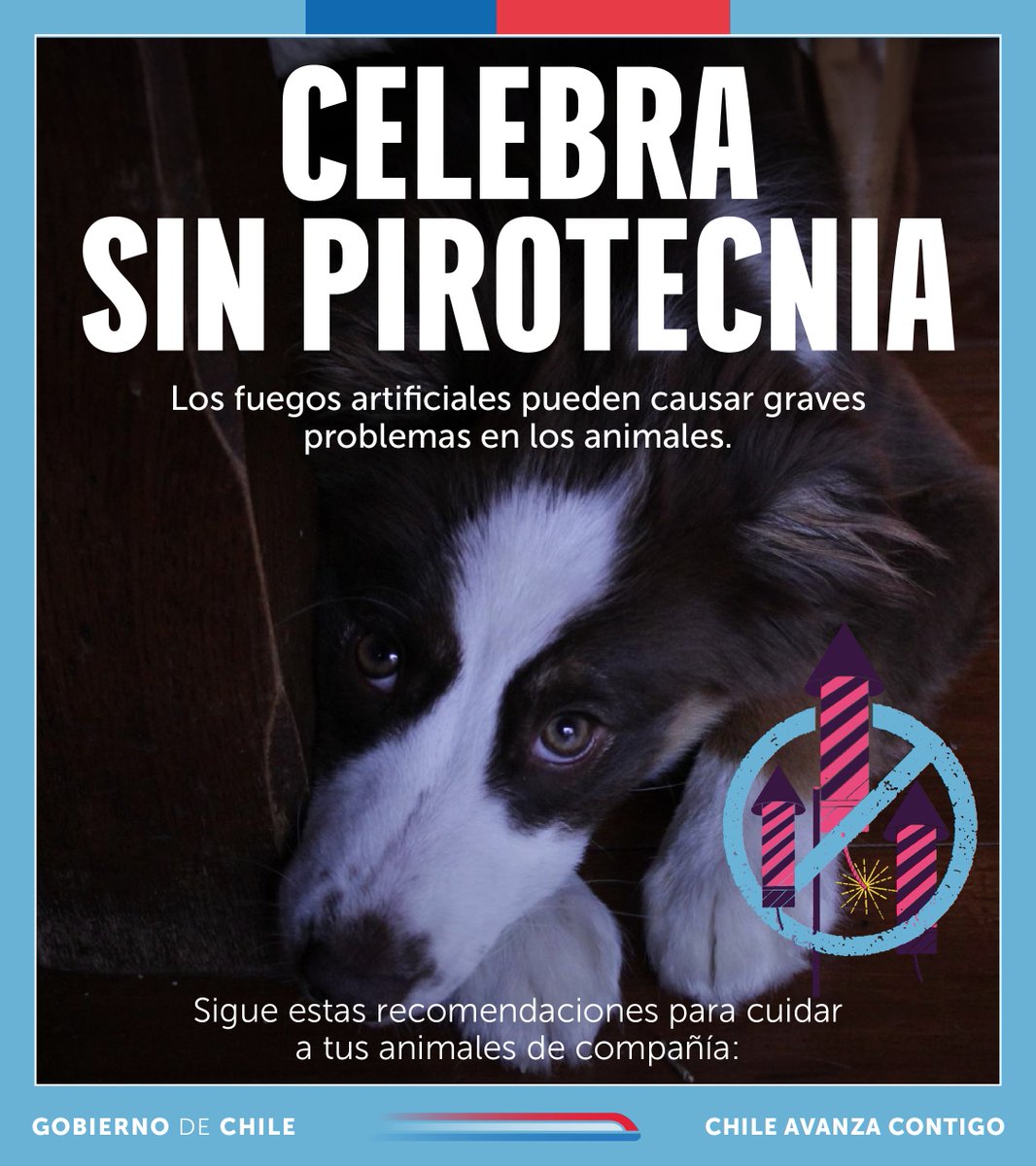 Tenencia Responsable tweet media