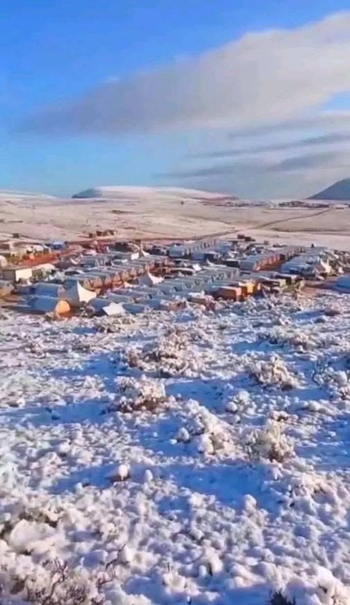 titrit ★ tweet media