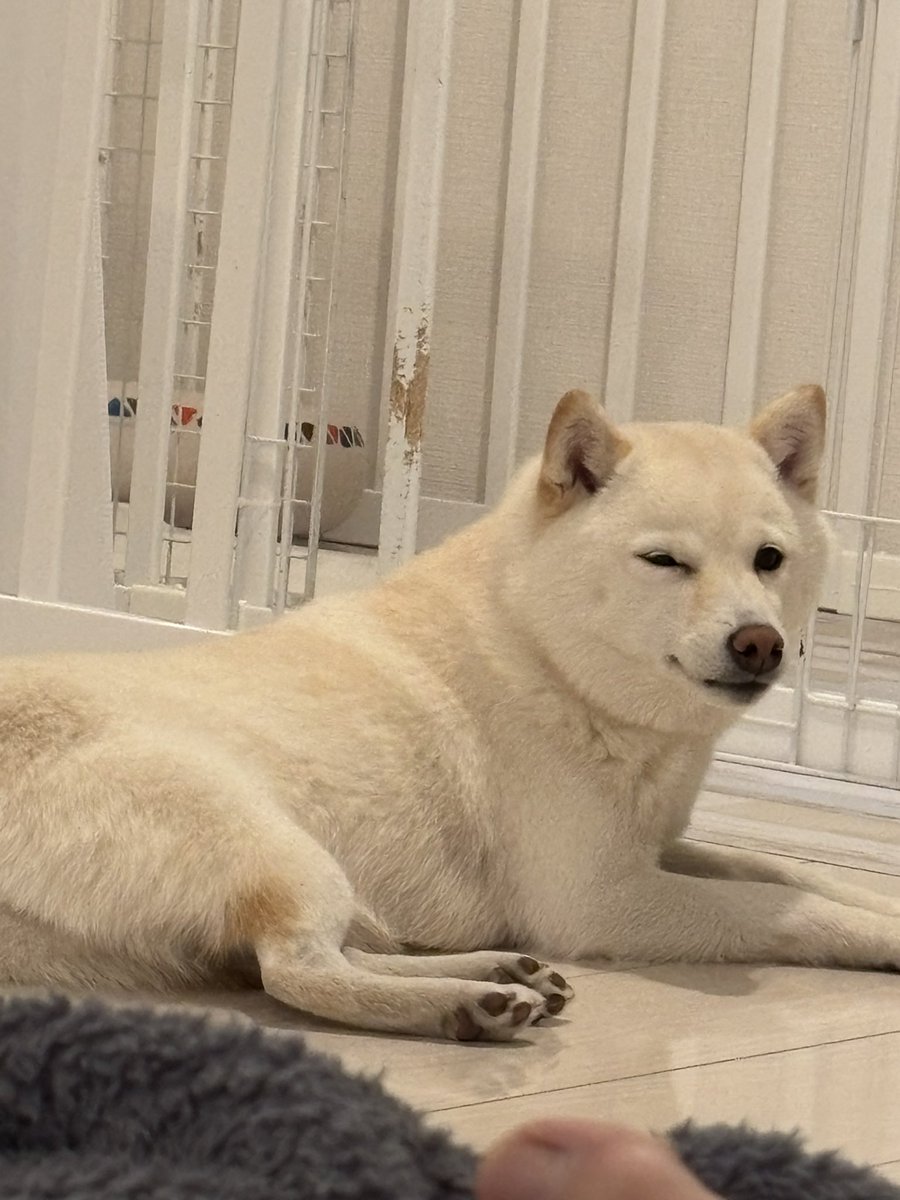 今年もありがとうね