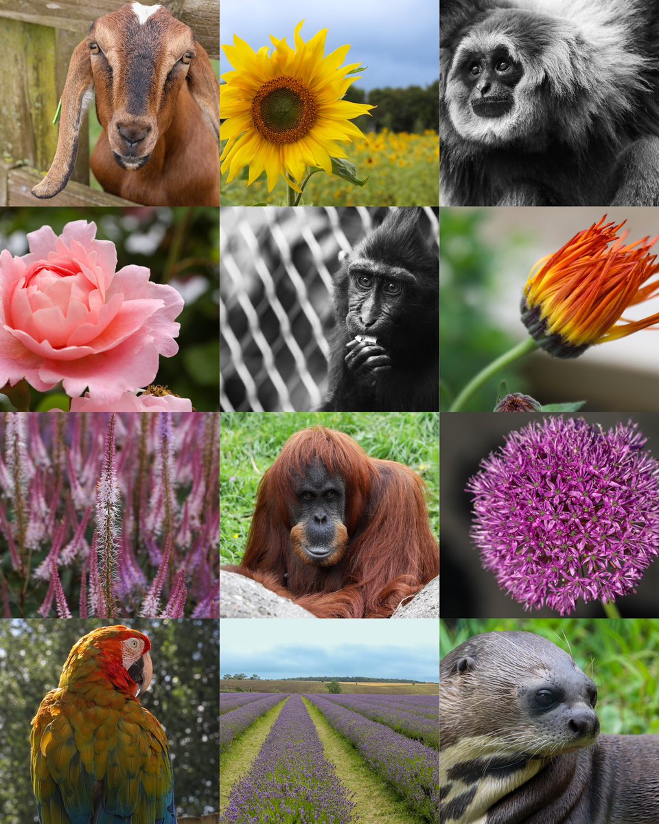 emmakatewright's tweet image. Happy New Year everyone. Here are some of my photos from 2024.