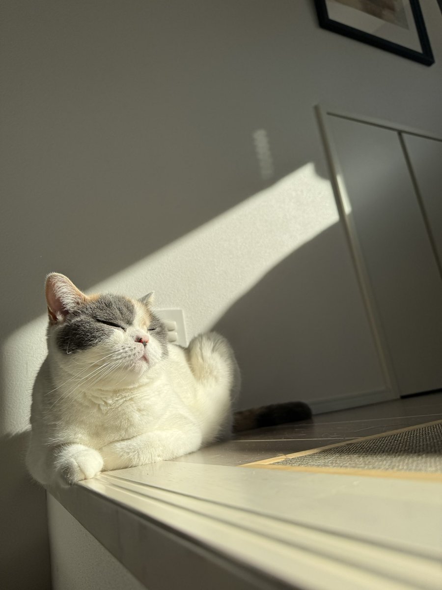 今年もお世話になりました。
2024年は楽器をお休みしておりましたが、来年からは吹奏楽団に所属してチューバを再開します。ベースも触らなすぎて弾けなくなってる…
それでは良いお年を。