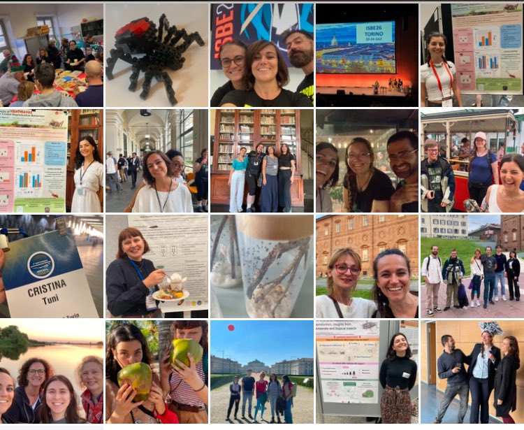 Spent the year doing what we love the most and won’t stop in 2025! We’ll be busy prepping to host #ISBE2026 in Turin and getting started with a #FIS funded project on thermal reproduction. Watch out for phd and postdoc positions on @cristinatuni.bsky.social