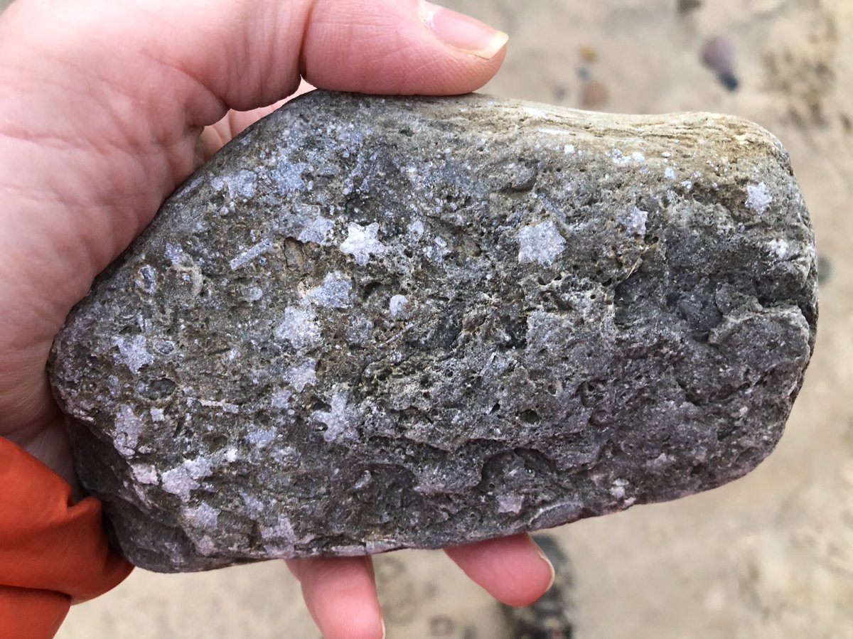 Not often that I find a rock full of ⭐️ 
🤩