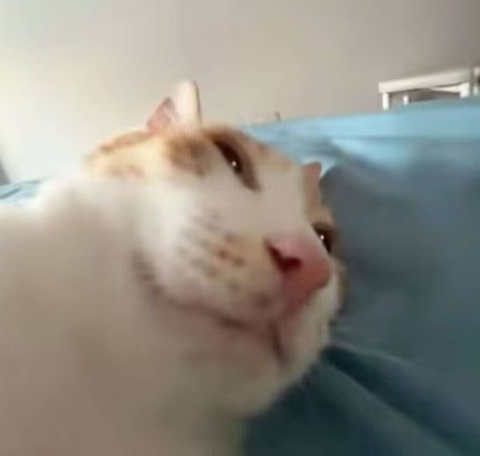 SpFae's tweet photo. 不是？当初冷暴力的人是你，不喜欢的人是你，逼我分手的人也是你，现在你把我屏蔽删了？你怎么这么奇怪？？？ https://t.co/NMP5WMP0I2