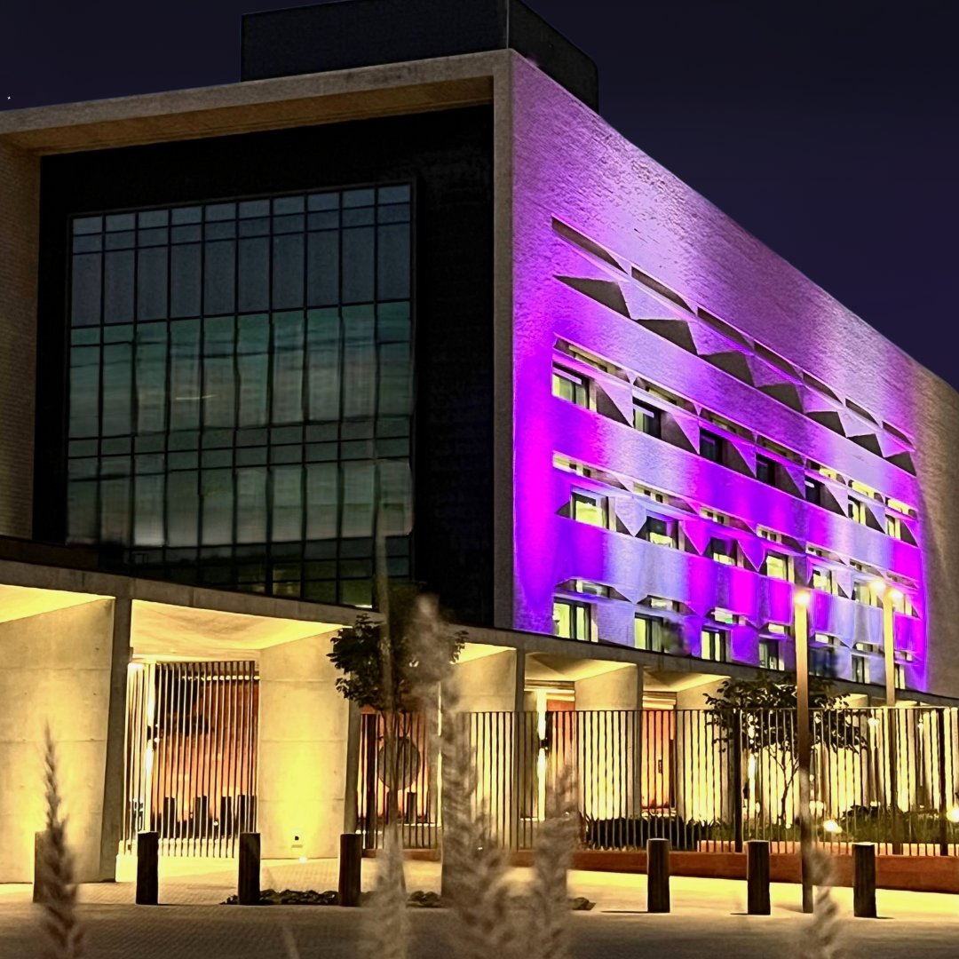Celebramos la llegada del 2025 iluminando nuestro edificio con los colores lila y blanco, símbolos de serenidad y renovación. Renovamos nuestro compromiso de fortalecer y profundizar las relaciones entre nuestros países, trabajando juntos para preservar y promover los valores y