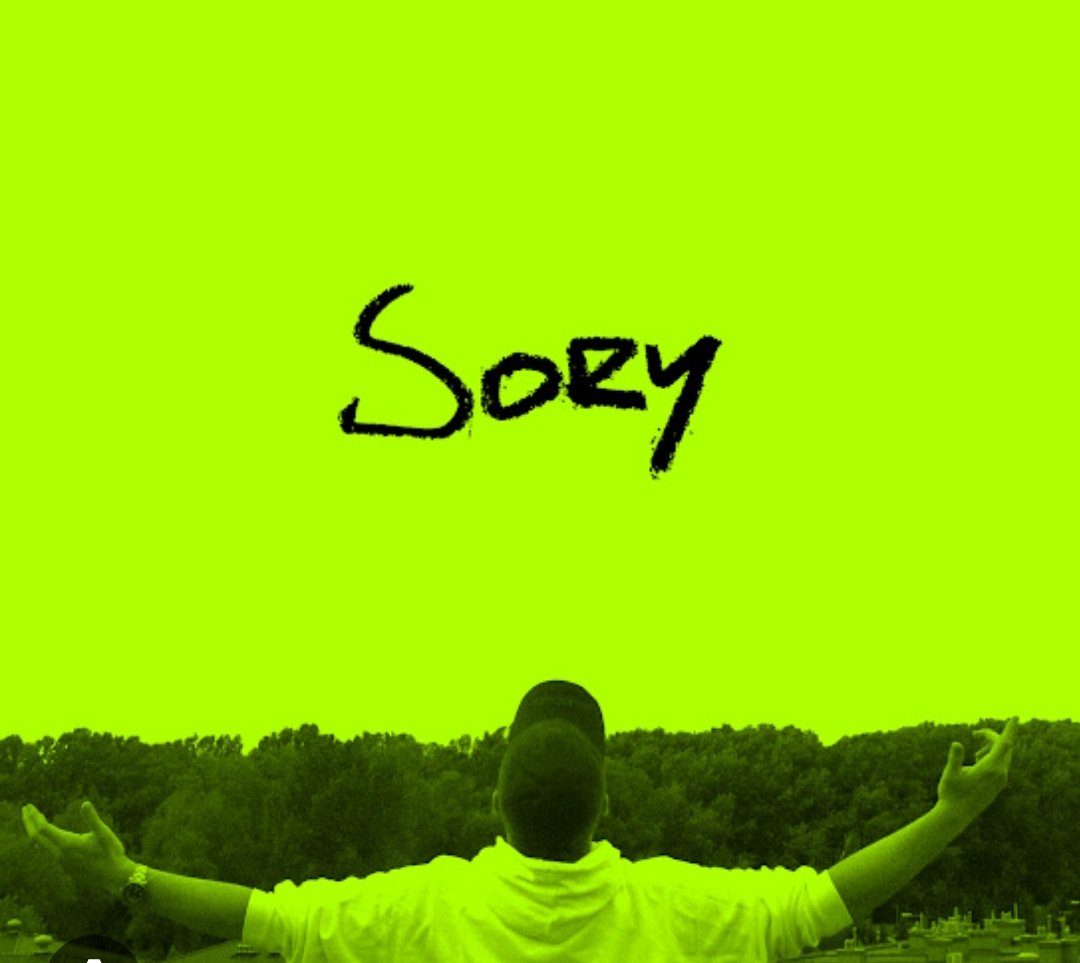 Bence bizim halkımız özür dilemeyi sevmiyor,bak yabancılar sory dillerinde.yanına yanlışlıkla yaklaşşa hemen Sory'i patlatıyor.yeni bişey bulsunlar Türkiye'de bence(pardon olmuyor)