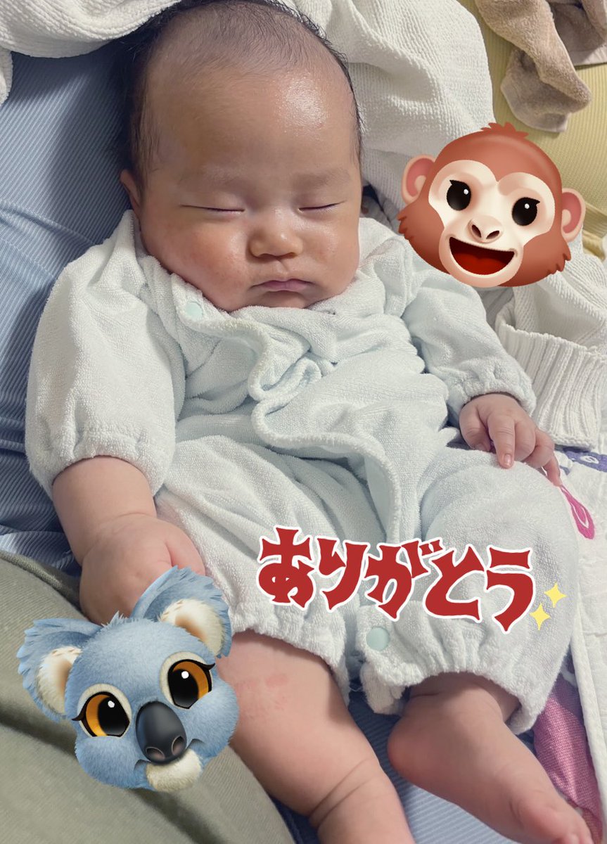 ねぴちゃん 🌟🐨ねぴちゃん🐨🌟 (@nepi_maru) / Posts / X