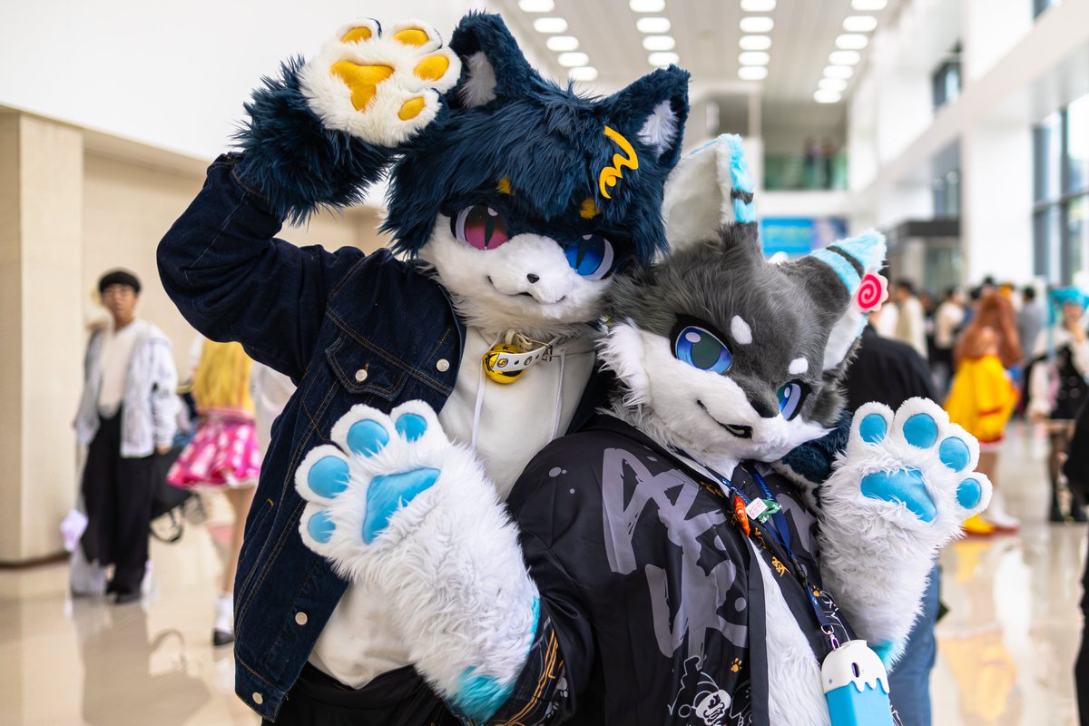 콘베어 tweet media