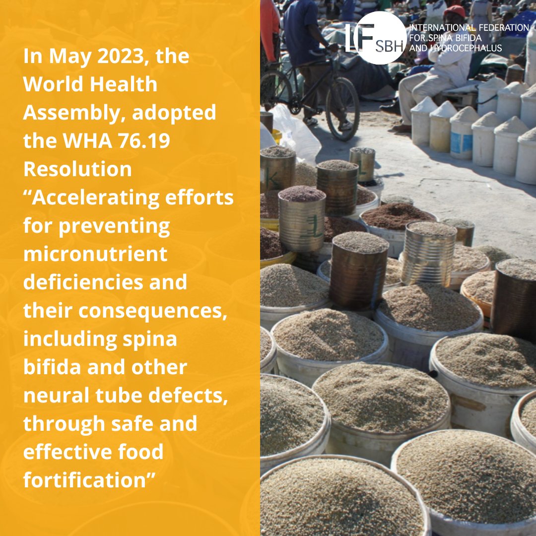 IFSBH (@ifsbh) on Twitter photo #WFAAW25
<a href="/WHO/">World Health Organization (WHO)</a> Assembly adopted the WHA 76.19 Resolution pushing towards safe and effective #FoodFortification 👉 bit.ly/WFAAW25toolkit
#FolicAcid #Prevention #WHA76 #WFAAW25
<a href="/WHO/">World Health Organization (WHO)</a> Assembly adopted the WHA 76.19 Resolution pushing towards safe and effective #FoodFortification 👉 bit.ly/WFAAW25toolkit
#FolicAcid #Prevention #WHA76