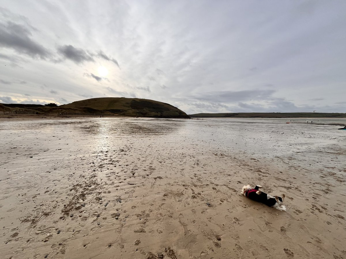 PurlDesign's tweet image. As 2024 draws to a close we are getting ready to welcome 2025… make it count, don’t waste a second, here’s to adventures, smiles and happiness #HappyNewYear2025 #Cornwall #daymerbay #rock #happydays