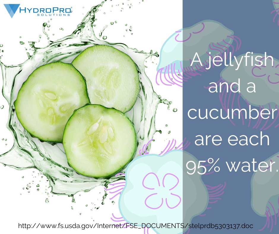 HPS is 100% support! If your utility is in need of new water management equipment HydroPro is your all-in-one solution. We provide services and products to solve any and all issues your utility may have, from water leaks to metering technology to network cybersecurity.
