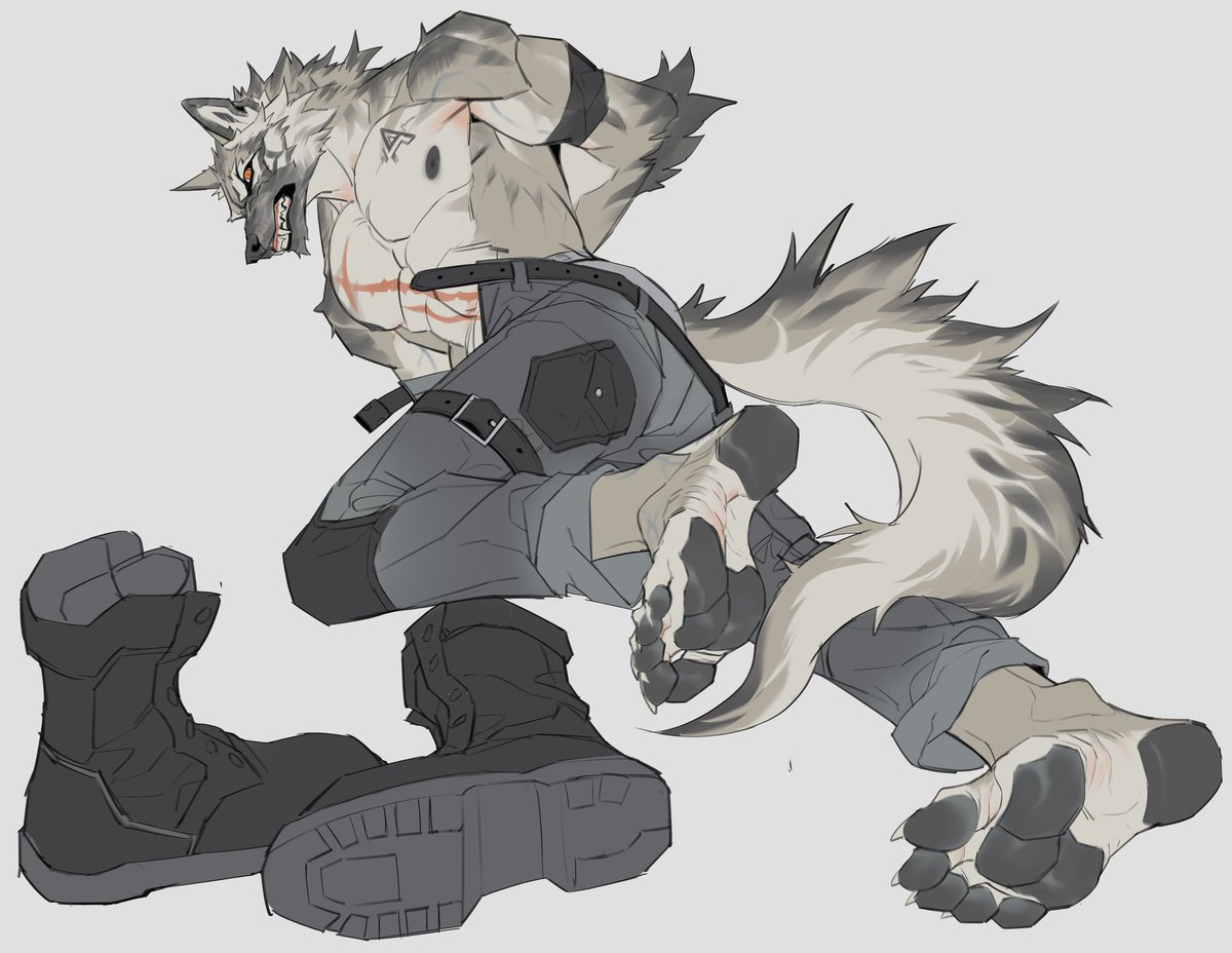 旺财 (@yifeng_lz) on Twitter photo 