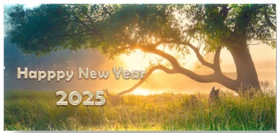 rg_gan's tweet photo. Happy New Year 2025
#HappyNewYear #HappyNewYear2025 https://t.co/VvHYswEoPB