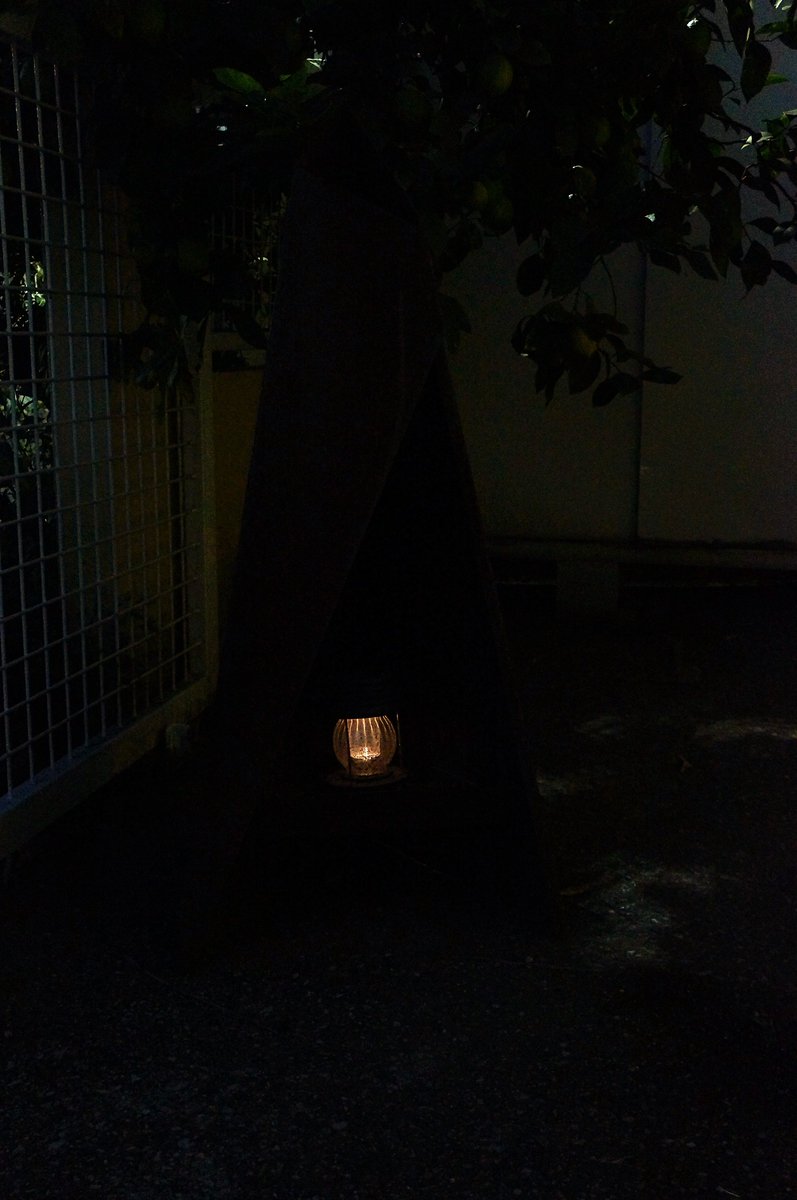mermaidol_mp's tweet photo. 今年の年越しは、コールデン鋼の焚き火台を眺めながら一人静かに過ごします。
精神を研ぎ澄ます。
#TIPI120 #yabi https://t.co/OkAeF7vt9h