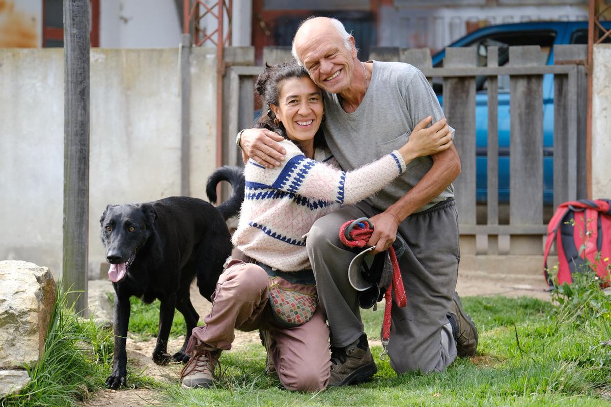 JavierDlacuadra's tweet image. Faltan más perros de la manada de Nacho que publicaremos cuando hagamos fotos. Gracias Nachito querido por entregar los últimos años de tu vida al cuidado y amor a los animalitos abandonados. Te extrañaremos. Toda la información con la fundación Patita salvando vidas: 3138639856