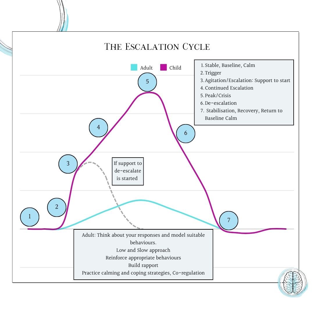 Attune-Ed CIC tweet media