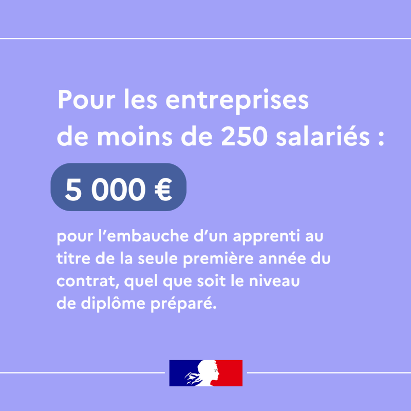 Travail_Gouv's tweet photo. #Apprentissage | Dès janvier 2025, le gouvernement reconduira par décret l'aide à l'embauche d'apprentis, et ce quel que soit le niveau de diplôme préparé.