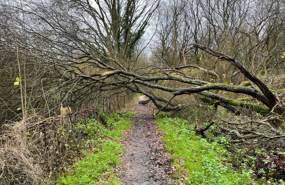 Wokingham Borough Council tweet media