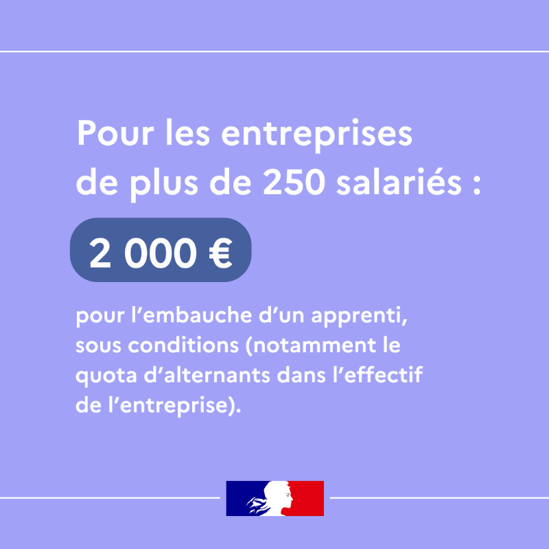 Travail_Gouv's tweet photo. #Apprentissage | Dès janvier 2025, le gouvernement reconduira par décret l'aide à l'embauche d'apprentis, et ce quel que soit le niveau de diplôme préparé.