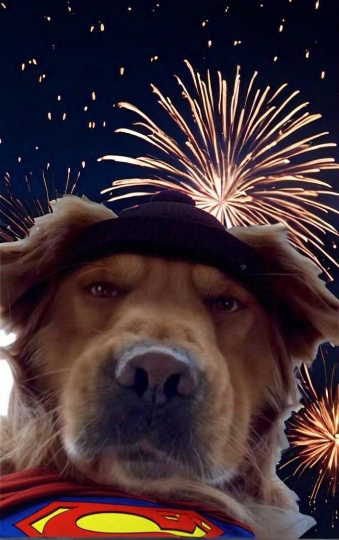 Happy new year!!
we still believe the process as a community. 
Let's bring the world  onchain
The gift will be more precious than you think
$PIDAN