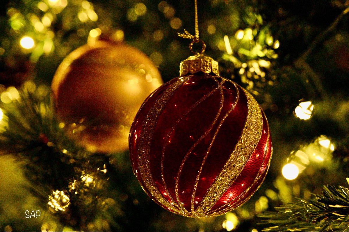 SAP__00's tweet photo. Thanks to everyone who joined the #2024 monthly photo countdown and to our photo community which has been so active all year: Happy New Year!
Today pls share/QP your favourite December #photo!
#TwitterPhotoCommunity https://t.co/gR5geLwvfr