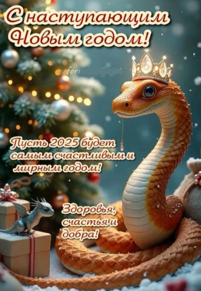 С наступающим, люди и квадроберы 🌲🥂🐍🎁