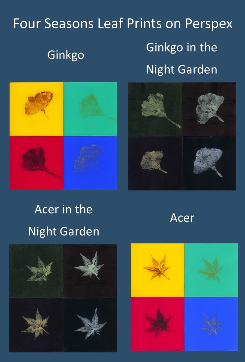 LymphomaLass's tweet image. ...Needless to say, one of my new year's resolutions is to be rather more prompt answering comments and shares on social media!

Wishing you a Happy New Year and hoping 2025 is kind to you.
 
Sam aka LymphomaLass xx

#NewYear #newyear2024 #newyear24 #newyearseve2024 #Welcome2025