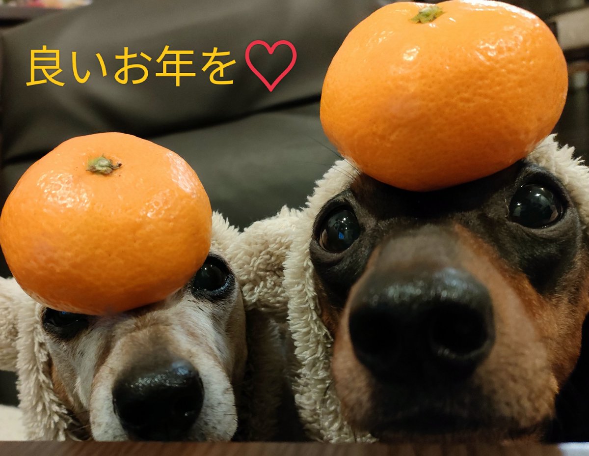 nicococo2555's tweet photo. １年終わるねぇ
15分だけしんみり過ごすのが好きです（笑） https://t.co/zMDEFkT7px