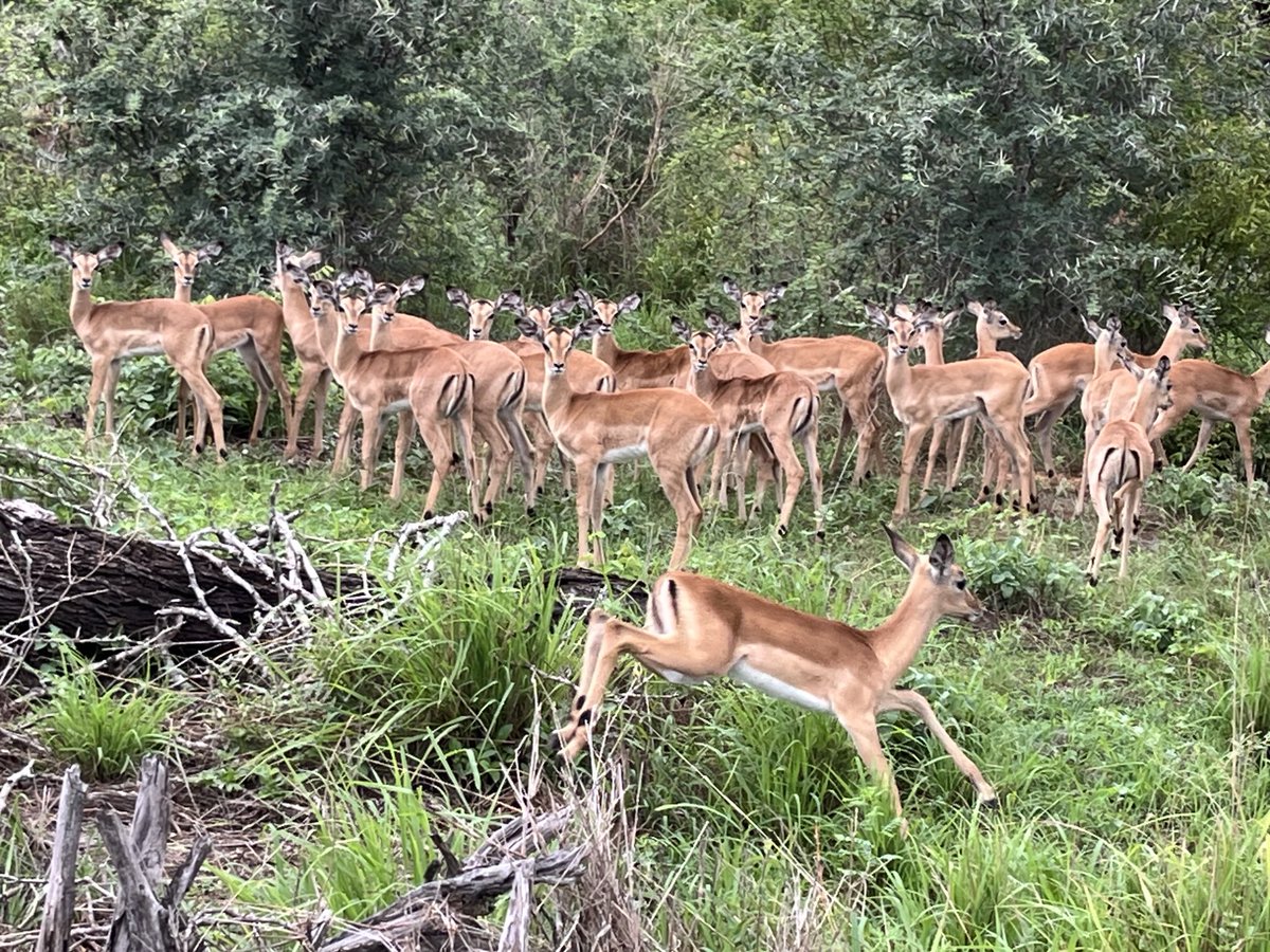 Dave (@dmel910) on Twitter photo 