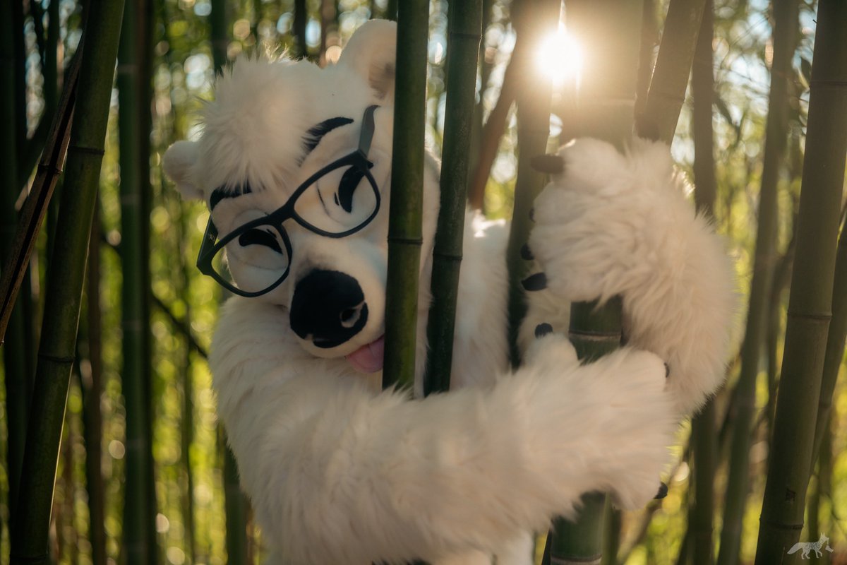 Take a break, love yourself 🌟