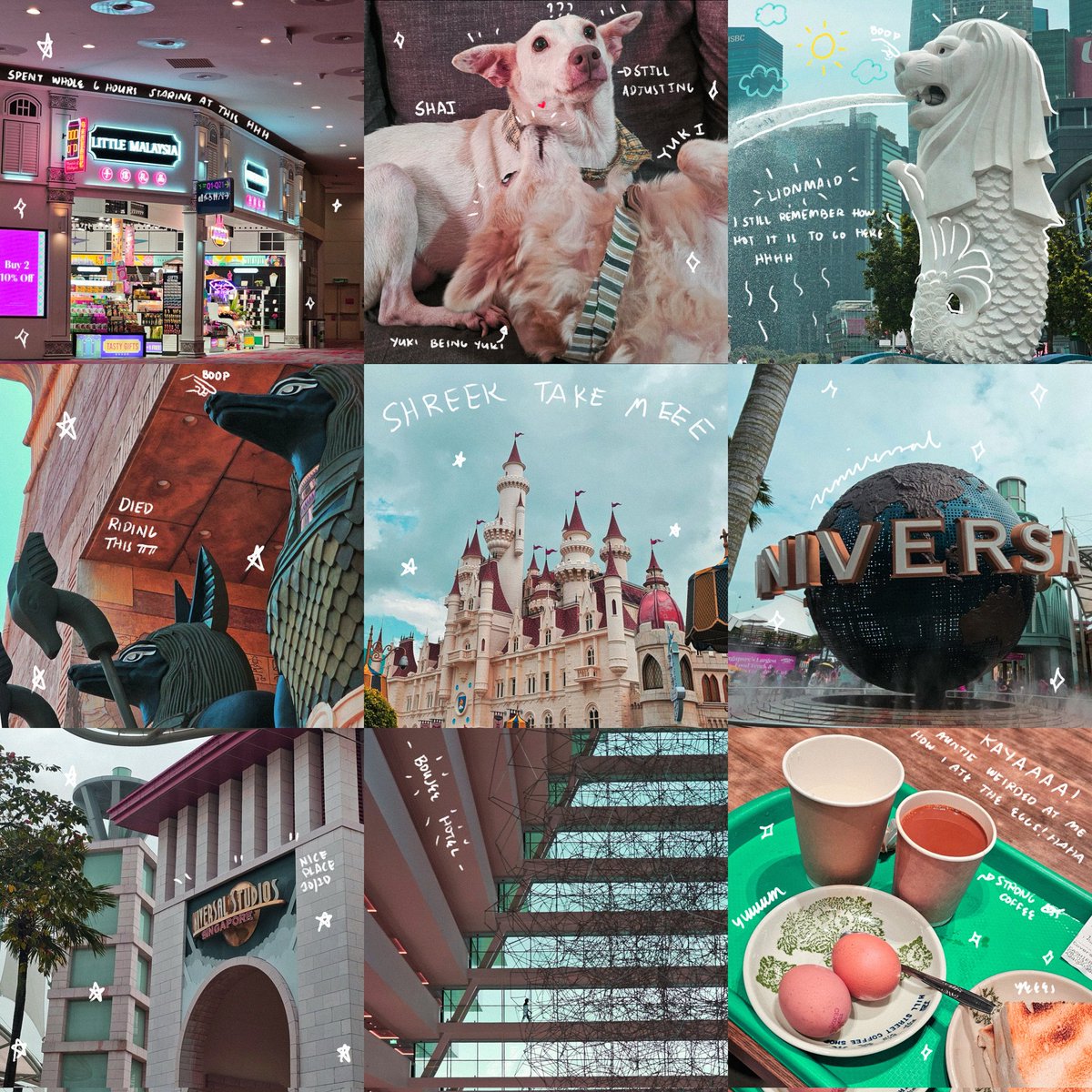melonpanpola's tweet photo. https://t.co/NgBvbsLfOW
