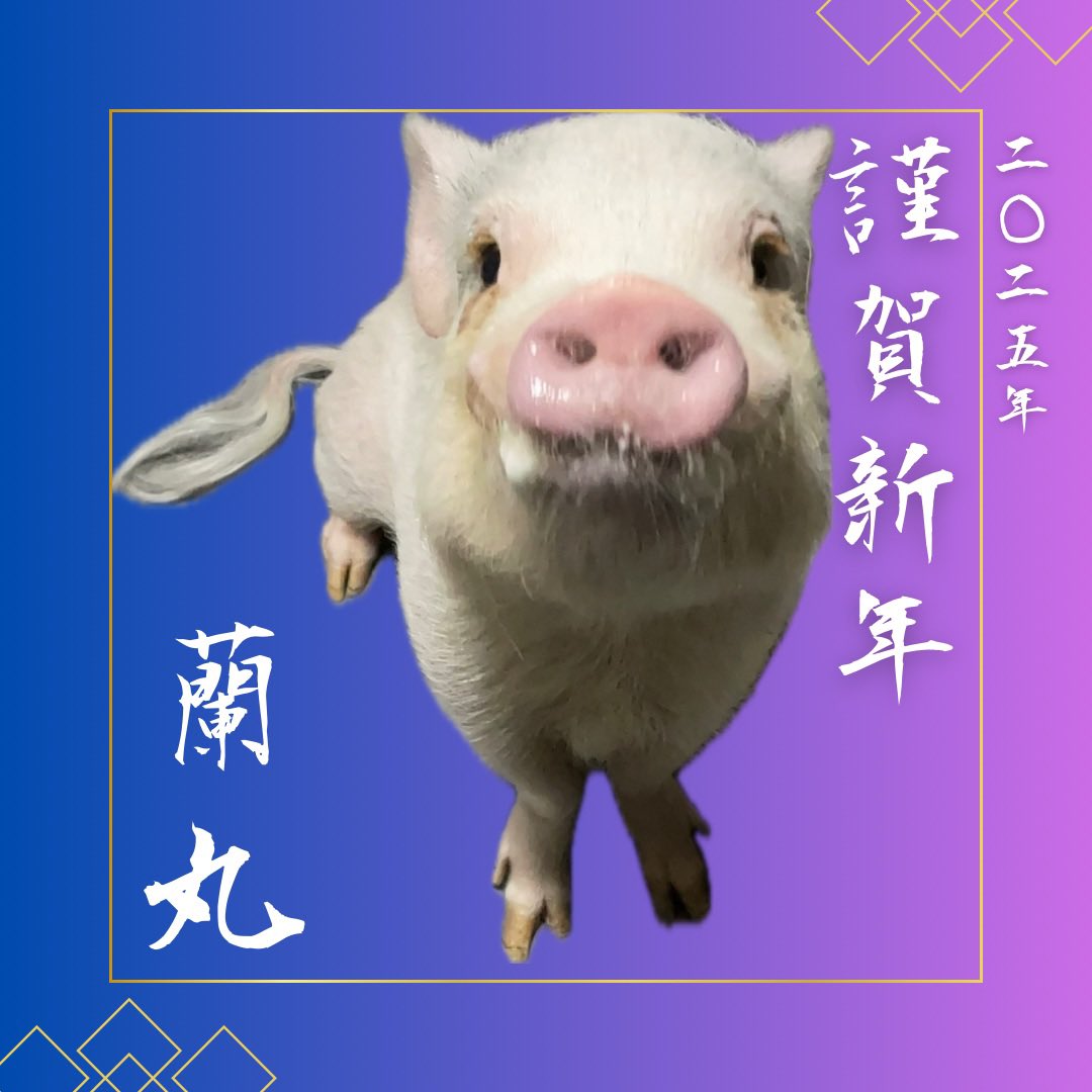 蘭丸 (@koto_knyn) on Twitter photo 
