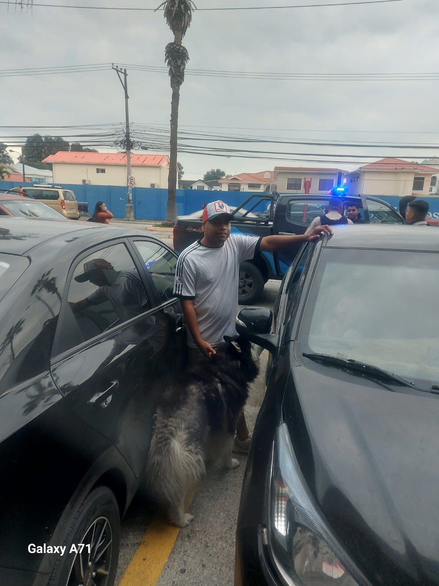 EmergenciasEc's tweet photo. Terrible!!
El día de ayer este perrito se encontraba perdido dentro de la entrada del supermaxi de ciudad colon, como no aparecieron sus dueños, la persona de la cédula junto con una mujer dijeron que se lo iban a llevar porque tenían un criadero de perros en la Florida Norte. 
La policía llegó pero si embargo no hicieron nada y dejaron que esas personas se lleven el perro.
Por favor ayuden a compartir para poder encontrar a sus dueños.