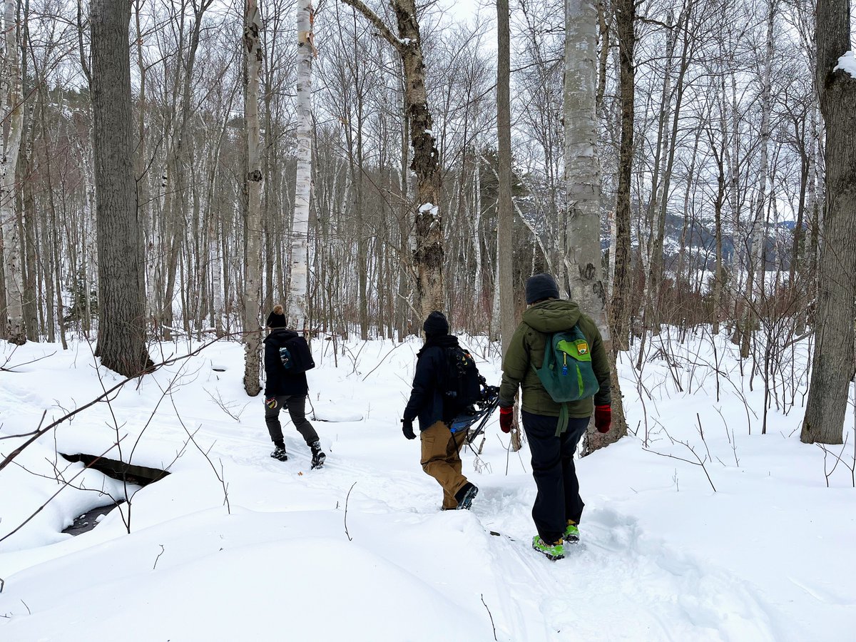 Ready for a #FirstDayHike here at Killarney?

Join our park naturalist tomorrow, January 1 at 10am for a guided hike to discover the secrets of wintertime wildlife survival while enjoying breathtaking scenery!

Learn more: bit.ly/4gwjjMC