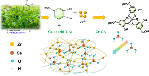 bhkenlo's tweet photo. Selective Removal of Highly Toxic Selenite by a Biobased Zirconium-Polyphenolic Supramolecular Gel | Inorganic Chemistry https://t.co/XQgPkOMBoP Ye, Ke, and co-workers @InorgChem #selenium #selenite #zirconium #polyphenolic #supramolecule #gel #tea_plant #adsorption #selectivity https://t.co/UT32VRTteZ