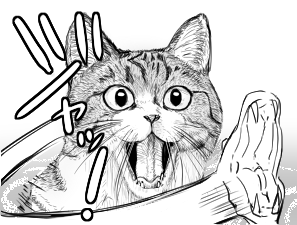 あけましておめでとうございます
2025年もよろしくお願いします 