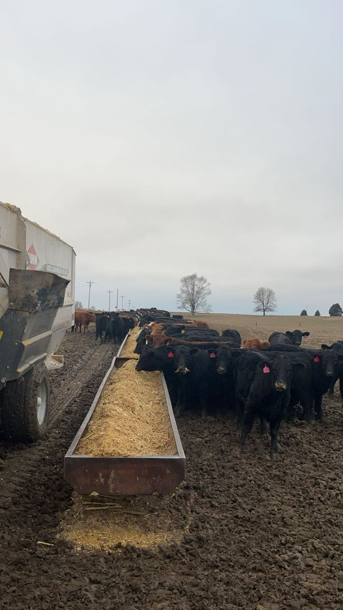 DylanRus's tweet image. 