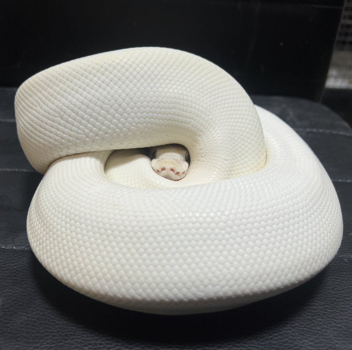 GgIum8lbYAMDdez.jpg
