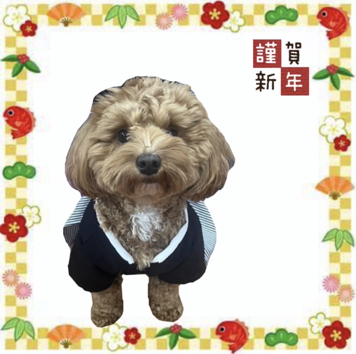 新年明けましておめでとうございます。
今年は1月公演が終われば長期休業です。
次回出演はまだ決まっておりませんが、より一層がんばりますのでどうぞ応援のほどよろしくお願い致します！

新春公演は、博多新劇座で行われます劇団十六夜様での公演
ラスト公演になりますのでよろしくお願いします！