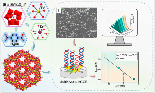 bhkenlo's tweet photo. Antimonotungstate-Based Heterometallic Framework Formed by the Synergistic Strategy of In Situ-Generated Krebs-Type Building Units and the Substitution Reaction...  https://t.co/aTA7g7PNy3 Zhao, Yang, and co-workers #erbium #iron #tungsten #POM #ECBS #FRAS #gene #detection https://t.co/LRRgVKS7xC