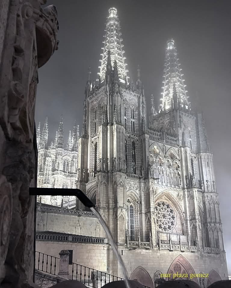 Burgos en el mundo tweet media